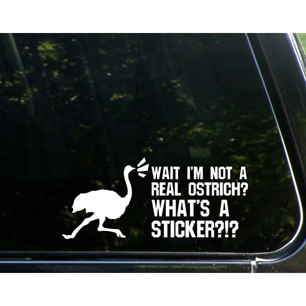 Delaware State Car Bumper Stickers Decal Very Original & Very Rare Choose One